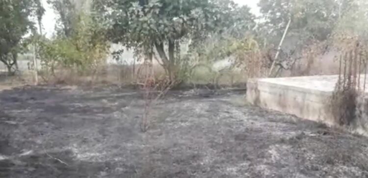 Zjarr në Fushë-Mamurras, rrezikohen disa banesa