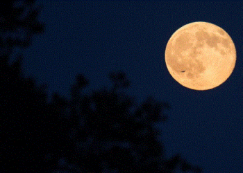 Sonte me sytë nga qielli, gjithçka që duhet të dini për Hënën e Gjuetarit