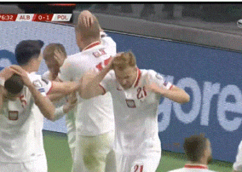 Ngjarjet në Shqipëri-Poloni, reagon FSHF: Tifozët miq kanë provokuar! Ne nuk kemi tifozë të dhunshëm