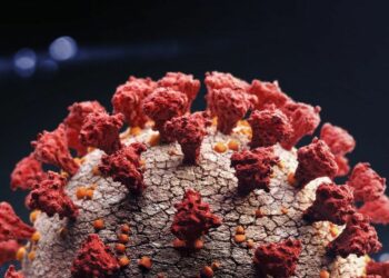 Po vjen Omikron/ A duhet të trembemi nga varianti i ri i koronavirusit?