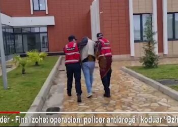 U kapën duke transportuar mbi 96 kg kanabis, 4 të arrestuar në Shkodër! Vëzhgoheshin prej muajsh nga policia