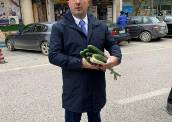 Deputeti demokrat i drejtohet Kuvendit pasi u bashkua protestës së Lushnjes: Po sjell produkte bio për qeverinë