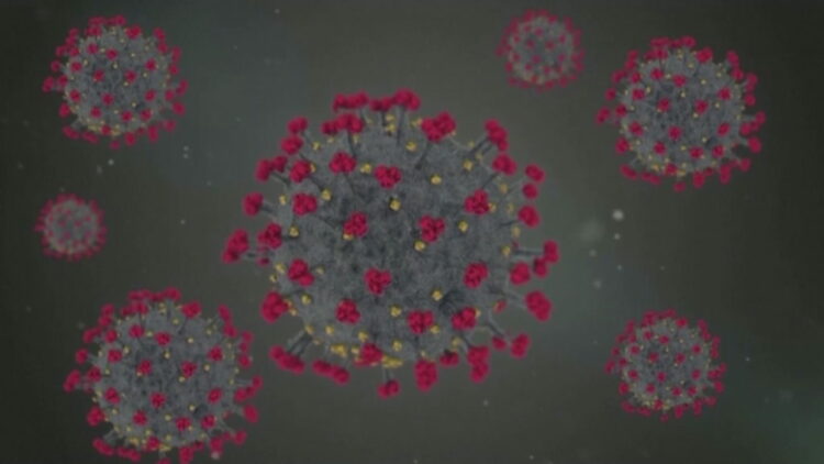 Varianti i ri i koronavirusit/ Moderna: Do të duhet një muaj për vaksinën e re