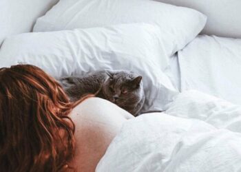 Çfarë duhet të keni parasysh nëse flini me macen tuaj në shtrat?