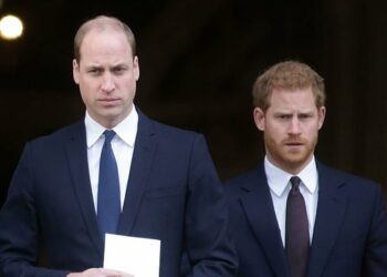 Tronditet familja mbretërore! Harry dhe William nuk janë pajtuar,  ç’po ndodh mes vëllezërve?