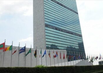 OKB publikon shifrat: Çdo 11 minuta vritet një grua nga një anëtar i familjes së saj