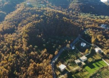 Dëmshpërblim nga tërmeti për një banesë që nuk ekziston/ 3 të arrestuar, pezullohet administratori i Njësisë Petrelë