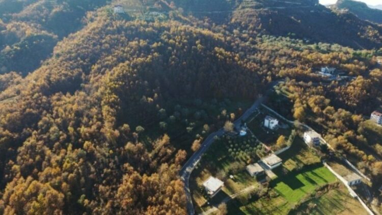 Dëmshpërblim nga tërmeti për një banesë që nuk ekziston/ 3 të arrestuar, pezullohet administratori i Njësisë Petrelë