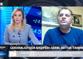 Urgjente Oda Ekonomike Kosovë-Shqipëri! Eksperti: Nuk duhet të kemi konkurencë! Të depolitizohet biznesi