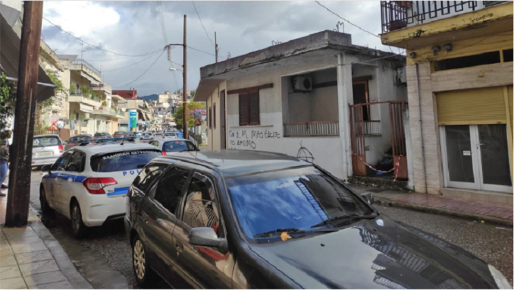 E rëndë në Greqi/ Djali vret me thikë nënën, plagos gjyshen