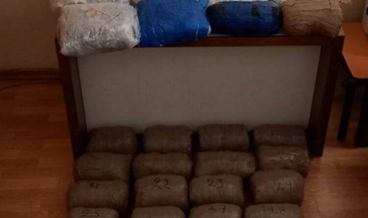 43 kg marijuanë në kufirin me Greqinë, arrestohen dy shqiptarë