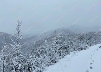 Malësia e Krujës mbulohet nga dëbora! Zona e Qafështamës prej 2 ditësh pa energji elektrike