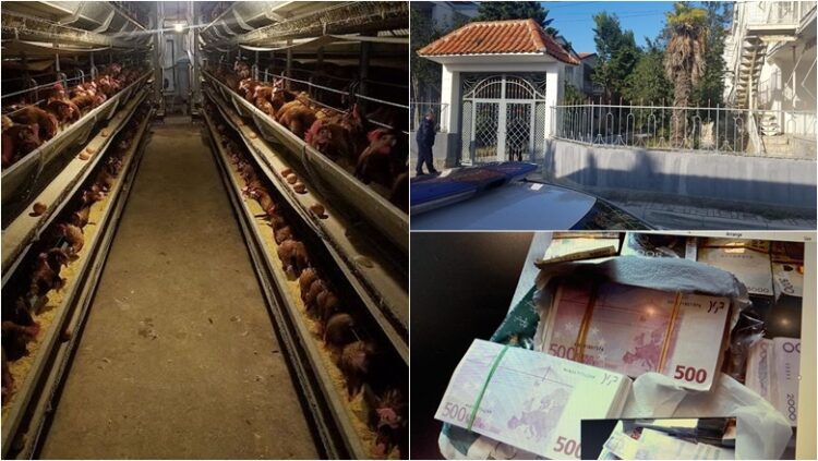 Trafik droge në Danimarkë, SPAK: Konfiskohen pasuritë e grupit të Astrit Beqirajt!