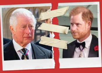 Princi Charles dhe princi Harry po flasin sërish me njëri-tjetrin, por situata nuk është ashtu siç duket