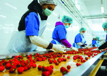 29 % e të punësuarve në sektorin jo-bujqësor ishin në informalitet më 2020