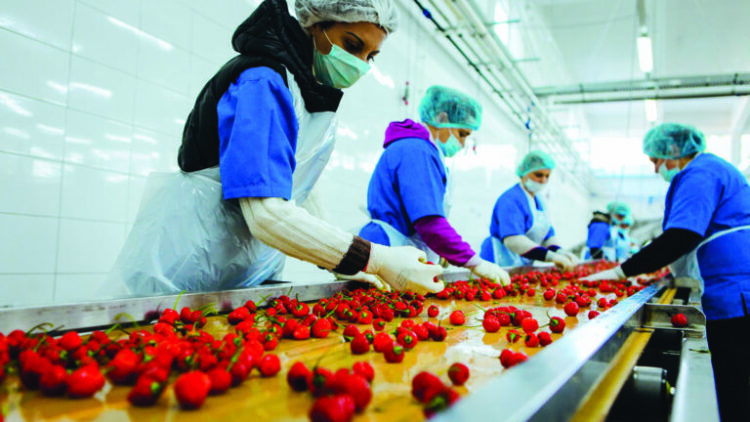 29 % e të punësuarve në sektorin jo-bujqësor ishin në informalitet më 2020