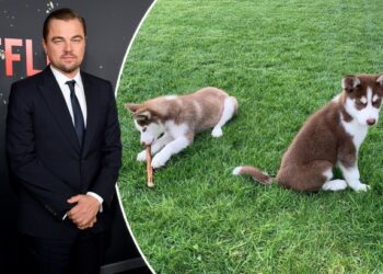 Leonardo Di Capro hidhet në liqenin e ngrirë për të shpëtuar dy qentë e tij