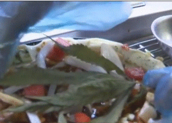 Pica me kanabis, trendi më i ri i ushqimit në Tajlandë