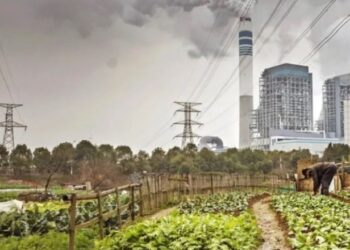 Bollëku s’do të zgjasë përgjithmonë, edhe sa kohë mund të mbijetojmë?