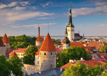 Qyteti më i gjelbër në Europë ka transport publik falas dhe ‘autostrada’ për bletët