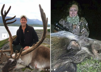 Vrau gruan gjatë pushimeve, dentisti amerikan përfitoi miliona dollarë nga sigurimet