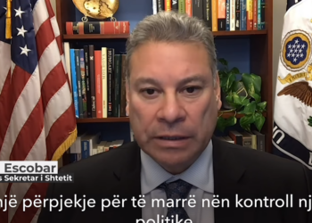 Zyrtari i lartë amerikan Gabriel Escobar reagon për protestën e Sali Berishës në selinë e PD