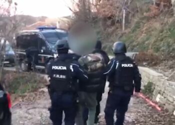 I shpallur në kërkim për vepra të ndryshme penale, arrestohet në Gjirokastër 28-vjeçari