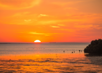 Australia barazon shifrën rekorde për ditën më të nxehtë