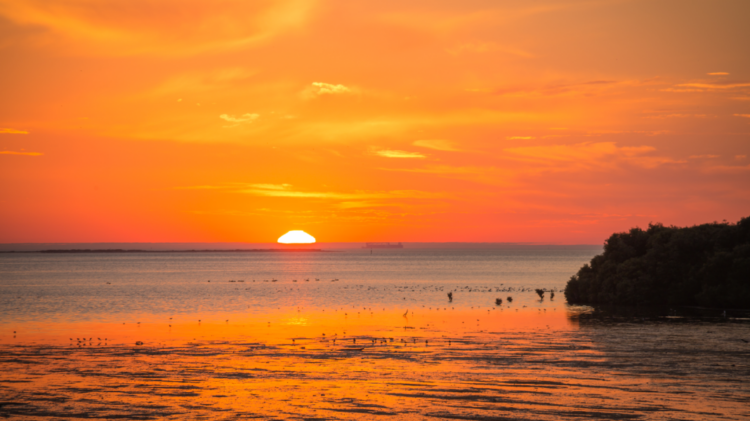 Australia barazon shifrën rekorde për ditën më të nxehtë