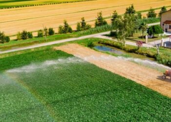 Kredia e re për bujqësinë pësoi rënie vitin e kaluar