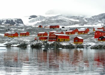 Vendi ku duhet të kesh hequr apendicitin dhe nuk duhet të mbetesh shtatzënë për të jetuar