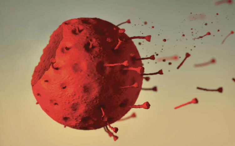 Shtatë zakonet e vendeve, që e kanë përballuar më mirë pandeminë e Covid-19