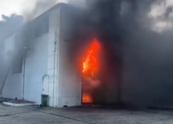 Zjarr i madh në fabrikën e peshkut në Lezhë, asfiksohet zjarrfikësi