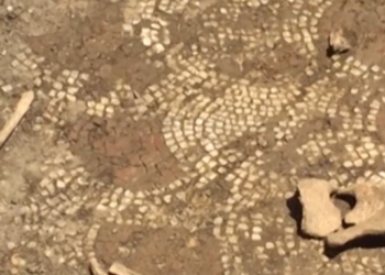 Zbulohen eshtrat e një fëmije në Izrael, datojnë 1.5 milion vjet më parë