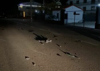 Aksident në Shkozet/ Dy viktima dhe një person në gjendje të rëndë