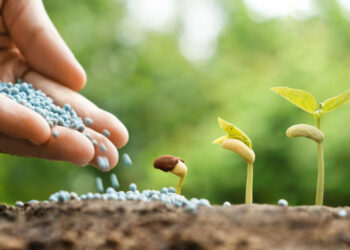 Importet e plehrave bujqësore rënie me 81% në janar, lajmërojnë vështirësi në sektor