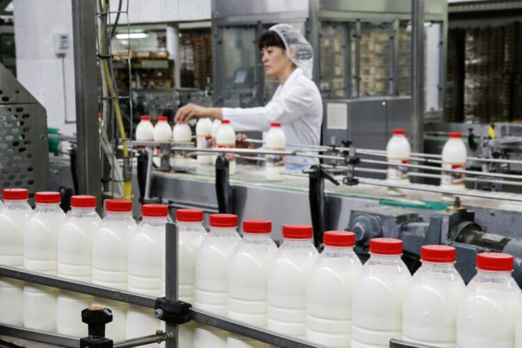 Industria e Përpunimit të Qumështit letër kryeministrit: Rrezikojmë falimentimin