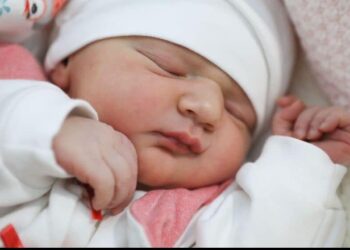 Nga 40 mijë deri në 120 mijë lekë, Rama: 150 mijë fëmijë kanë fituar bonusin e bebeve në 3 vite