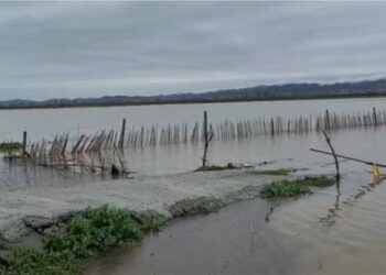 Gjatë tre dekadave, përmbytjet kanë shkaktuar 2.3 miliardë USD dëme në Shqipëri