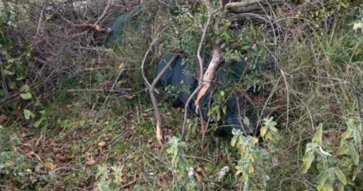 8 çanta me rreth 300 kg marijuanë kapen në kufirin greko-shqiptar në Igumenicë