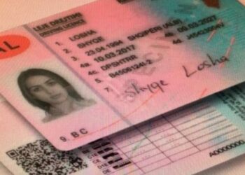 Lajm i mirë/ Patentat shqiptare njihen zyrtarisht dhe në Gjermani