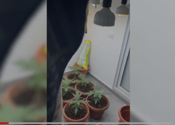 Zbulohet një ‘shtëpi bari’ në Tiranë, sekuestrohen shuma të mëdha parash