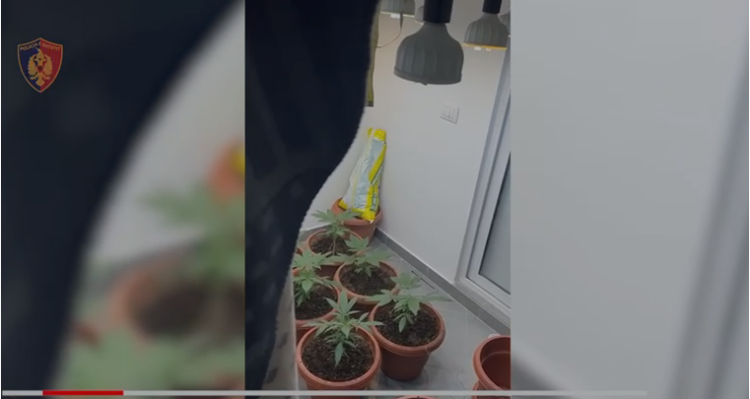 Zbulohet një ‘shtëpi bari’ në Tiranë, sekuestrohen shuma të mëdha parash