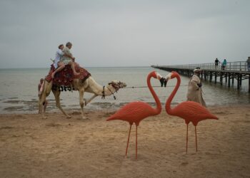 Vendet e tyre janë në luftë, rusë e ukrainas janë bllokuar bashkë në resorte turistike