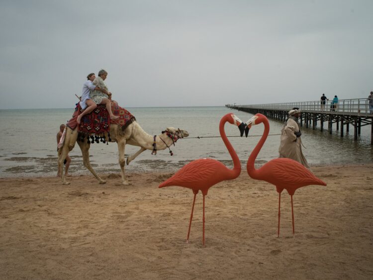 Vendet e tyre janë në luftë, rusë e ukrainas janë bllokuar bashkë në resorte turistike