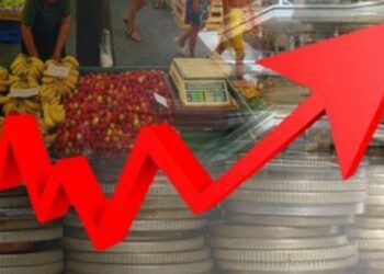 Rritja e çmimeve/ Basha: Të hiqet ‘taksa Rama’, reduktim të të tjerave, të ulet akciza! Berisha: Mbështesim protestat