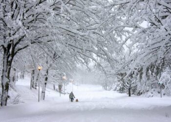 ‘Ngrin’ pranvera, moti i keq mbulon vendin ditët e para të marsit
