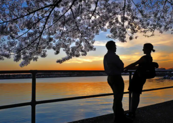 5 teoritë tradicionale që ndodhin vetëm në ekuinoks, misteret e 21 marsit