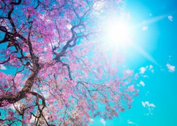 Parashikimi i motit për këtë të hënë: Diell dhe rritje temperaturash