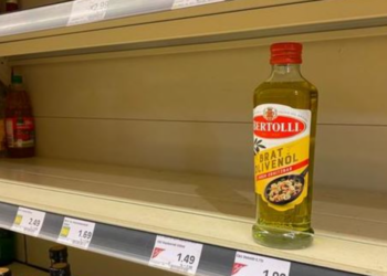 Vaj luledielli dhe bunkerë, Gjermania në frikë nga lufta